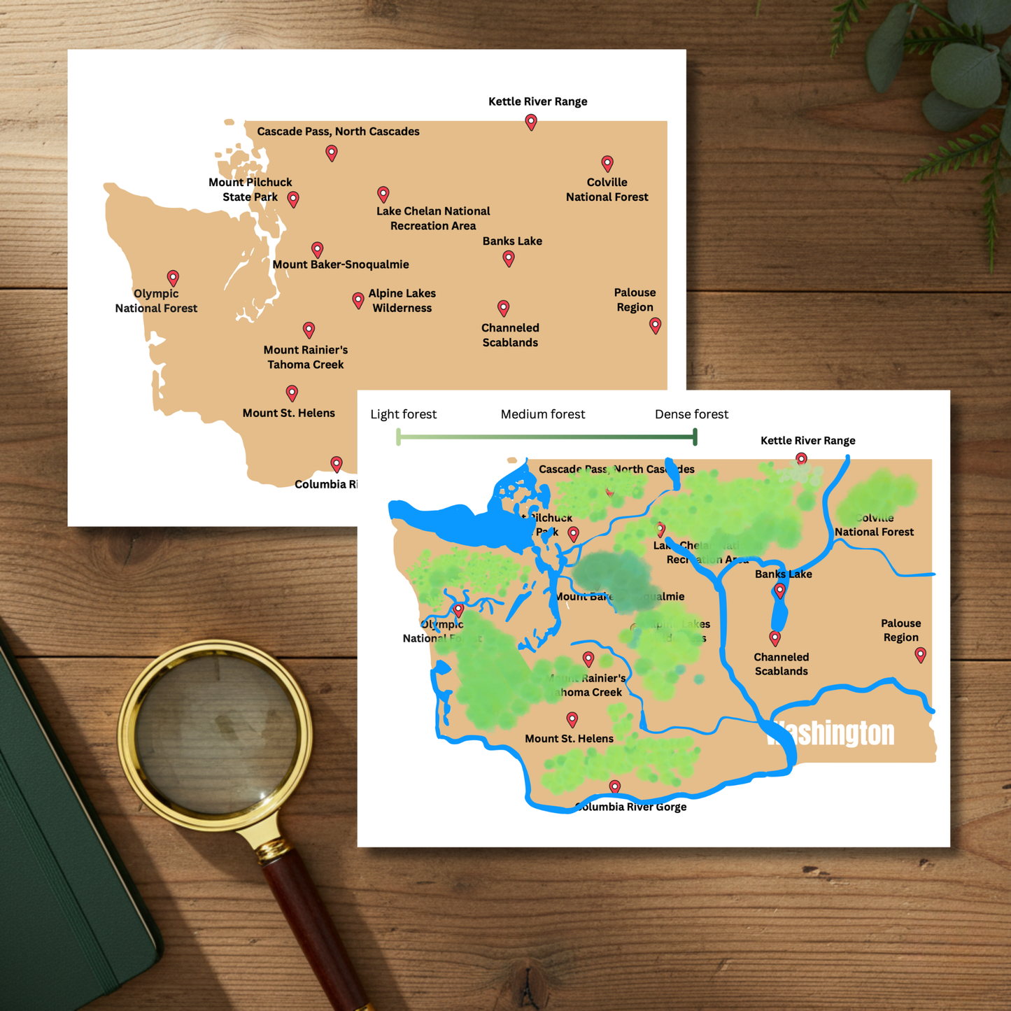 👣 Bigfoot: Search for the Hairy Hiker