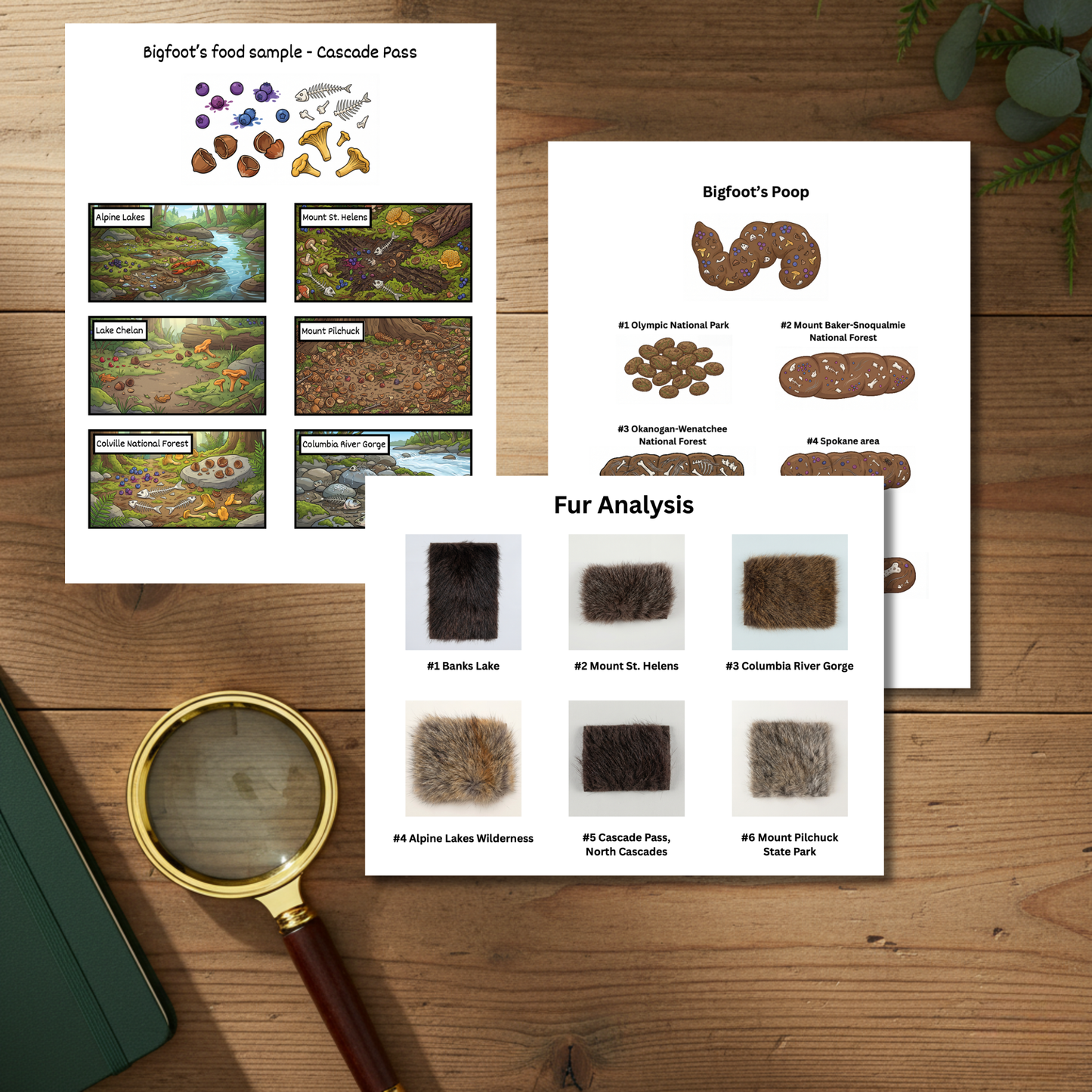 👣 Bigfoot: Search for the Hairy Hiker